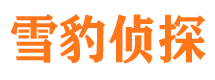 洛江市私家侦探